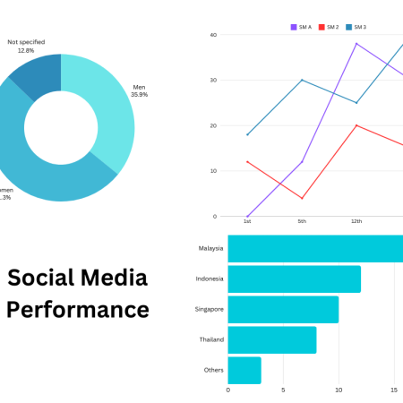 Social Media Performance Graph